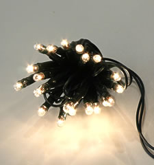 Battery Operated 20 Clear Mini Lights-6 Foot Green Wire