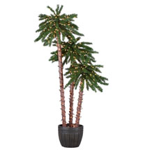 Potted Palm Tree - 4,5,6 Feet Tall - 500 Clear Lights