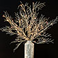 Lighted Gold Coral Willow Branch 72 Bulb Electric - 40 Inch