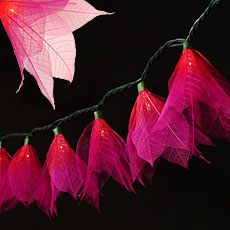 Flower String Lights-Fuchsia