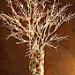 Lighted White Coral Willow Branch 72 Bulb Electric - 39 Inch
