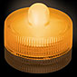 Amber Acolyte Submersible #08120 FloraLyte Pack of 10