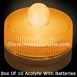 Amber Acolyte Submersible #08120 FloraLyte Pack of 10