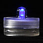 Blue Acolyte Submersible #08320 FloraLyte Pack of 10