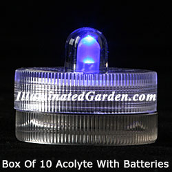 Blue Acolyte Submersible #08320 FloraLyte Pack of 10