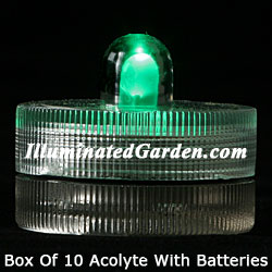 Green Acolyte Submersible #08420 FloraLyte Pack of 10