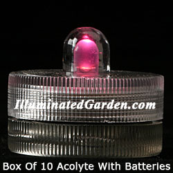 Pink Acolyte Submersible #08920 FloraLyte Pack of 10