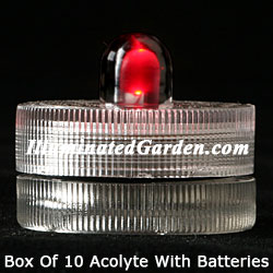 Red Acolyte Submersible #08220 FloraLyte Pack of 10