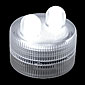 White Acolyte 2 LED Submersible #08540 FloraLyte Pack of 10