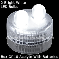 White Acolyte 2 LED Submersible #08540 FloraLyte Pack of 10
