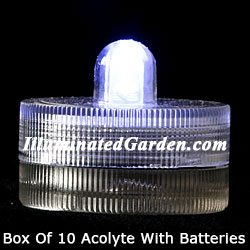 White Acolyte Submersible #08520 FloraLyte Pack of 10