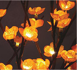 Battery  LED Amber Plum 60 Bulb - 40 Inches - 2 Stems