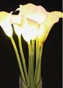Battery Operated White Calla Lily - 8 Stems - 8 LED Lights