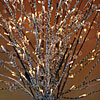 Lighted Birch Willow Branch - 60 Bulbs 20 Inch