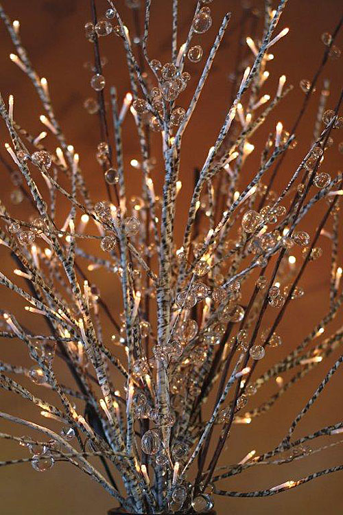 Tree Branches With Lights 2021