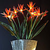 Lighted Bird Of Paradise - 5 Flowers 33 Inch 15 Lights