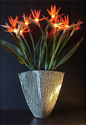 The light garden