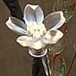 Battery Operated Acrylic Cherry Blossom Branch - 30 LED 39 Inch