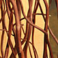 Natural Curly Willow - Coffee