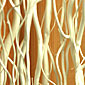 Natural Curly Willow - Bleached 46 Inch Tall 5 Stems