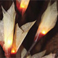Battery Operated Ivory Dragon Fly 60 LED Bulbs - 39 Inches