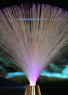 Battery Operated Color Changing  Fiber Optic Light Up Decoration