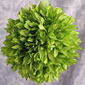 Kissing Pomander Balls - 6 Inch  Green  with Organza Ribbon