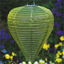 Outdoor Soji Solar Teardrop  Moss Colored Lantern