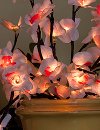 Lighted cherry branch