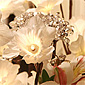 Lighted Branch - White Daffodil 60 Bulb Electric - 20 Inch