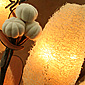 Natural Elements Loofah