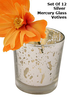 Silver Mercury Glass Votive Holder 2.5 Inch Set of 12