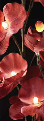 Lighted Merlot Orchid With 16 Lights - 2 Branches  - 33 Inches