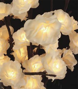 Cream Rose Spray 60 Mini Lights - 20 Inch - Electric