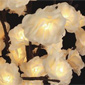 Cream Rose 60 Mini LED Lights - 20 Inch - Battery Operated
