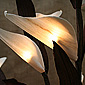 Natural Elements Bird of Paradise