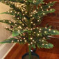 36 Inch Norfolk Pine 180 Lights Multi Function - Electric
