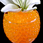 Orange Gel Flora Water To Beads