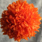 Kissing Pomander Balls - 6 Inch  Orange with Organza Ribbon