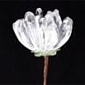 Clear Crystal Peony Spray - 3 Clusters