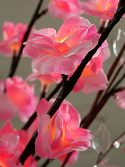 Lighted Pink Mini Rose - 60 Bulb Electric
