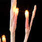 Lighted Pink Willow Branch 96 Bulb-3 Stems - Electric - 39 Inch