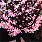 Indoor Outdoor Pink Bonsai Tree - 196 LED'S