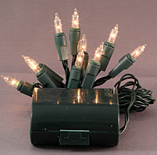 Battery Operated 10 Clear Mini Lights-6 Foot Green Wire