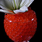 Red Gel Floral Water To Beads