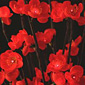 Battery LED Red Plum 60 Bulb - 40 Inches - 2 Stems