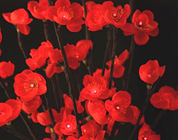 Battery LED Red Plum 60 Bulb - 40 Inches - 2 Stems