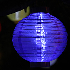 Purple 8 Inch Solar Powered Lantern