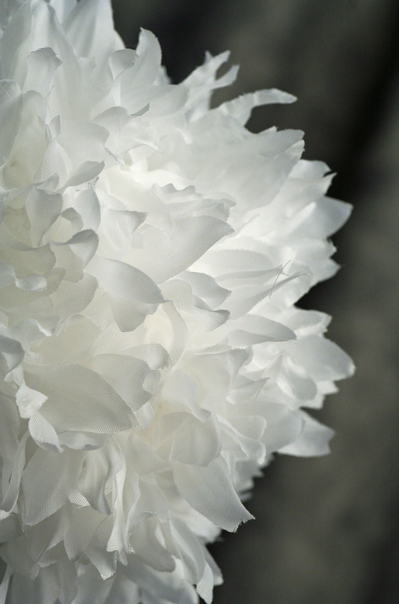 Outdoor Wedding Decor