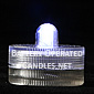 White LED Waterproof Tealights Box of 12